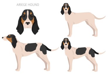Ariege av köpeği kırpması. Farklı pozlar, farklı renkler. vektör illüstrasyonu