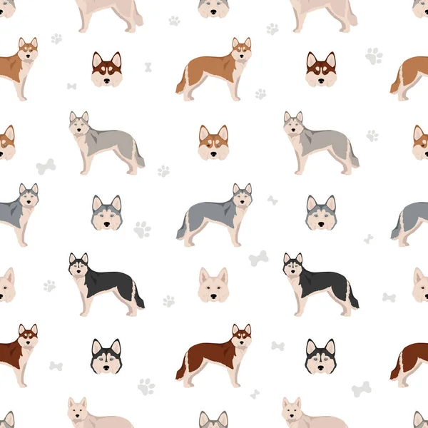 Alaskan Husky Seamless Pattern Different Poses Coat Colors Set Vector — Vector de stock