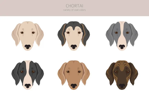 Chortai Clipart Different Poses Coat Colors Set Vector Illustration — ストックベクタ