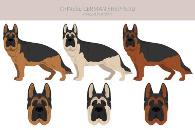 Çinli Alman çoban köpeği Clipart. Farklı pozlar, farklı renkler. Vektör illüstrasyonu