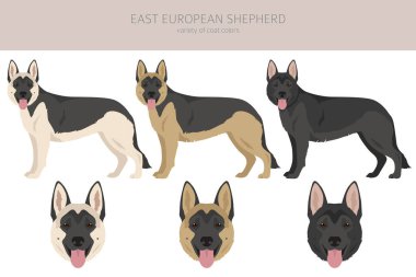 Doğu Avrupa çoban köpeği Clipart. Farklı ceket renkleri. Vektör illüstrasyonu