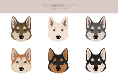 Doğu Sibirya Laika Clipart. Farklı ceket renkleri. Vektör illüstrasyonu