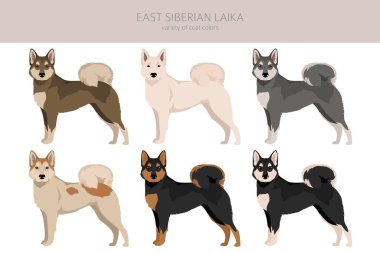 Doğu Sibirya Laika Clipart. Farklı ceket renkleri. Vektör illüstrasyonu