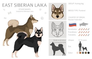Doğu Sibirya Laika Clipart. Farklı ceket renkleri. Vektör illüstrasyonu
