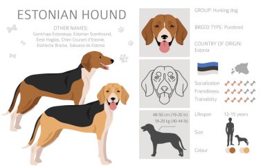 Estonya av köpeği kırpması. Farklı ceket renkleri. Vektör illüstrasyonu