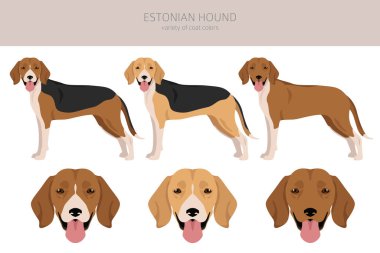 Estonya av köpeği kırpması. Farklı ceket renkleri. Vektör illüstrasyonu