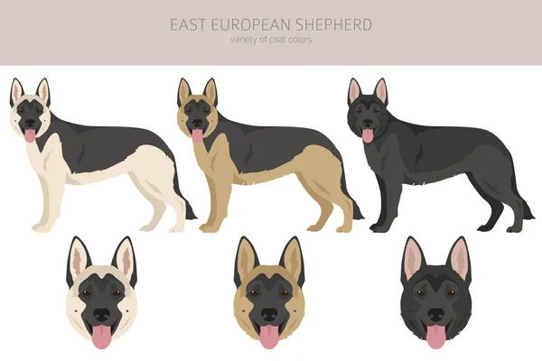 East European Shepherd Clipart Different Coat Colors Set Vector Illustration — 스톡 벡터