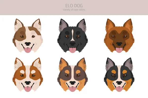 Elo Dog Clipart Different Coat Colors Set Vector Illustration — Wektor stockowy