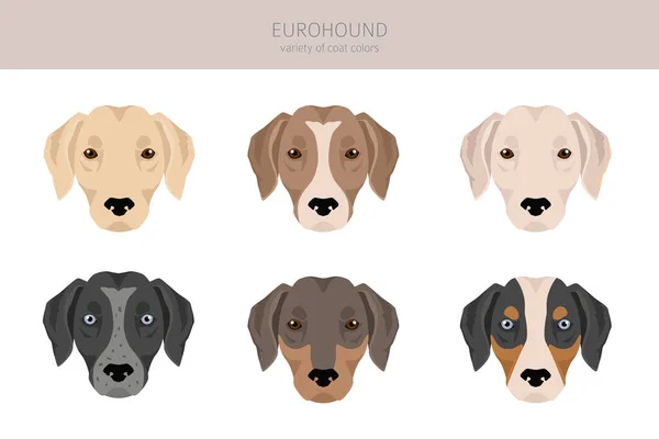 Eurohound Clipart Different Coat Colors Set Vector Illustration — ストックベクタ