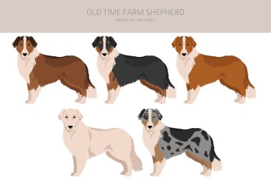 Old time farm shepherd clipart. Different coat colors set.  Vector illustration