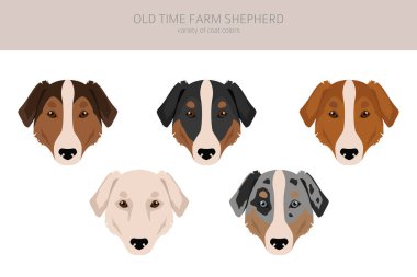Old time farm shepherd clipart. Different coat colors set.  Vector illustration