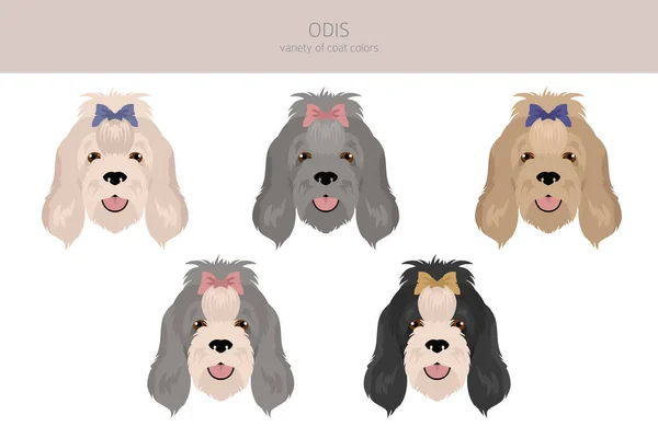 Odis Dog Clipart Different Poses Coat Colors Set Vector Illustration — Vettoriale Stock