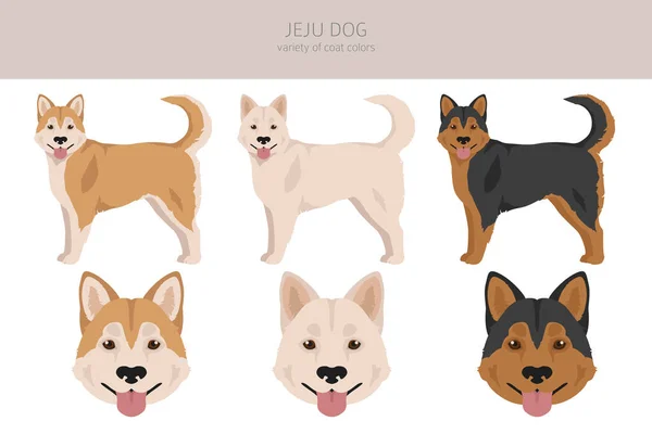 Jeju Dog Clipart Different Coat Colors Set Vector Illustration — Stockvector