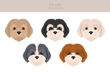 Kyi-Leo köpek klipsi. Farklı ceket renkleri. Vektör illüstrasyonu
