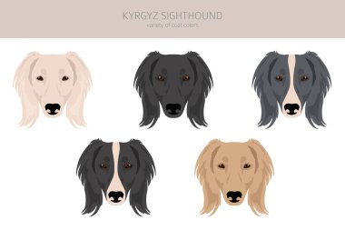 Kırgız görüş açısında. Farklı ceket renkleri. Vektör illüstrasyonu