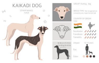 Kaikadi köpek klipsi. Farklı ceket renkleri. Vektör illüstrasyonu