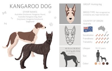 Kanguru köpek klipsi. Farklı ceket renkleri. Vektör illüstrasyonu