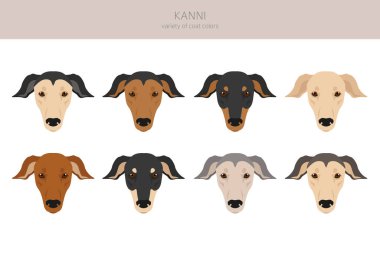 Hint Kanni köpek klipsi. Farklı ceket renkleri. Vektör illüstrasyonu