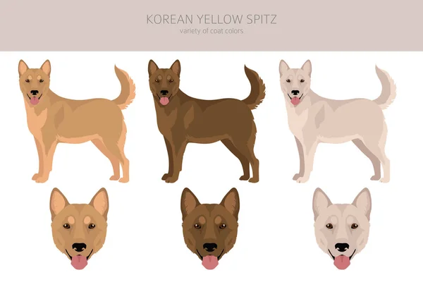 Clipart Spitz Amarillo Coreano Conjunto Diferentes Colores Capa Ilustración Vectorial — Vector de stock