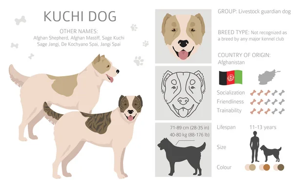 Kuchi Anjing Clipart Warna Bulu Yang Berbeda Ditetapkan Ilustrasi Vektor - Stok Vektor