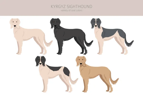 Kyrgyz Seghthound Clipart Diversi Colori Cappotto Impostati Illustrazione Vettoriale — Vettoriale Stock