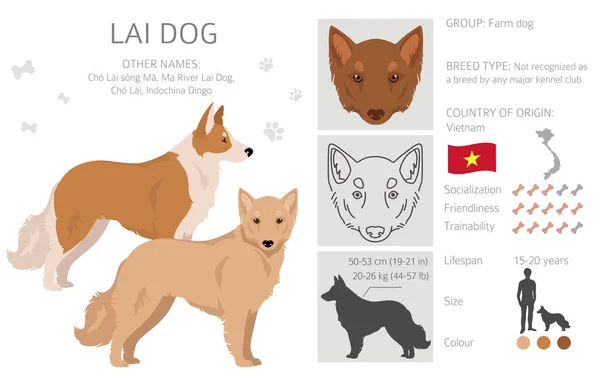Vietnamesisch Lai Hund Clipart Verschiedene Fellfarben Eingestellt Vektorillustration — Stockvektor