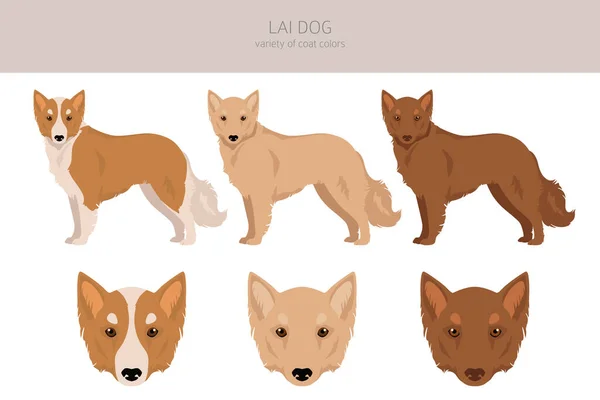 Vietnamese Lai Dog Clipart Different Coat Colors Set Vector Illustration — Stock Vector