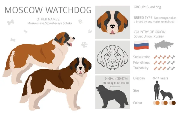 Clipart Del Perro Guardián Moscú Todos Los Colores Del Abrigo — Vector de stock