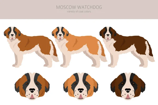 Moscow Watchdog Clipart All Coat Colors Set All Dog Breeds — Stock Vector