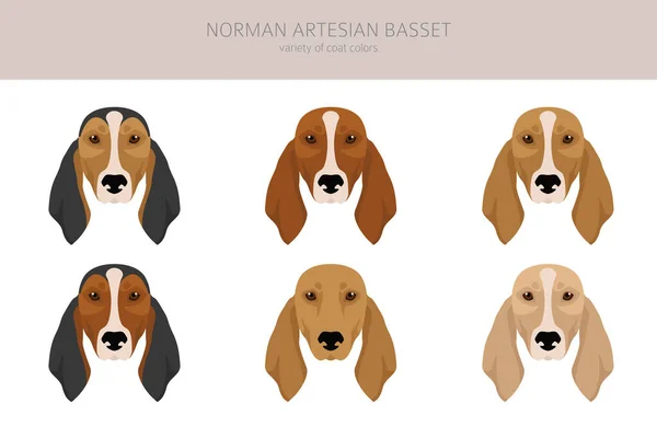 Кліп Нормана Артезіана Бассета Всі Кольори Надягають Кожен Собака Породжує — стоковий вектор