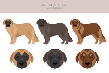 Rize Koyun köpek klipsi. Tüm ceket renkleri ayarlandı. Bütün köpekler karakteristik bilgileri çoğaltır. Vektör illüstrasyonu