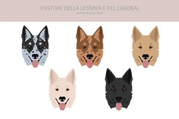 Pastore Della Lessinia Del Lagorai Clipart Toutes Les Couleurs Manteau — Image vectorielle