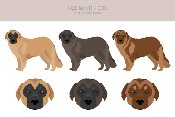 Rize Koyun Hund Clipart Alla Pälsfärger Inställda Alla Hund Raser — Stock vektor