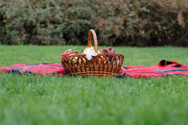 Picknick. — Stockfoto