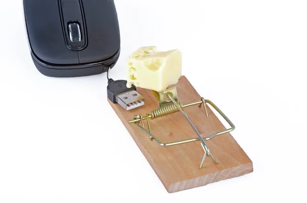 Mouse trap — Stock Photo, Image