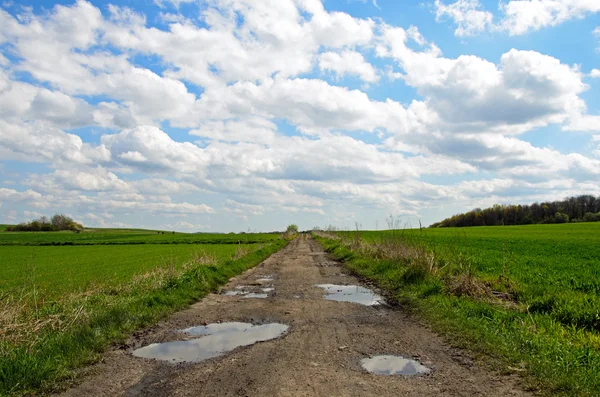 Camino que conduce a través de grano . — Foto de Stock