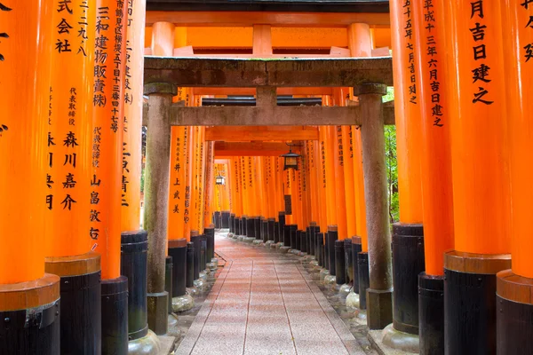 Sanctuaire fushimi inari, kyoto, Japon — Photo
