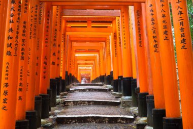fushimi inari türbesi, kyoto, japan