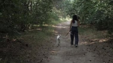 Parkta yürüyen bir kız ve bir köpek. Evcil hayvanla neşeli bir yürüyüş. Dalmaçyalı. İnsanlar ve bir köpek ormanda yürüyor..