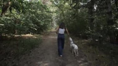 Bir kız ve bir köpek. Evcil hayvanla neşeli bir yürüyüş. Dalmaçyalı. İnsanlar ve bir köpek ormanda yürüyor..