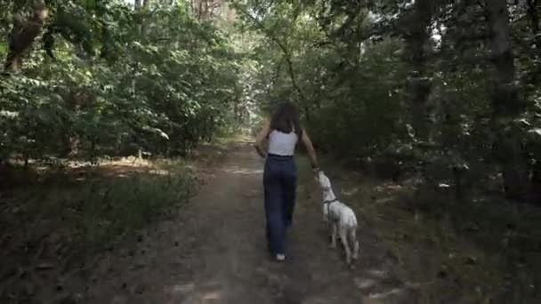 Chica y un perro. Alegre paseo con mascota. Dálmata. Gente y un perro paseando en un bosque. — Vídeo de stock