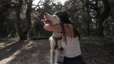 Bir Köpek ve Kız. En iyi arkadaş. Dalmaçyalı bir kızla oynuyor. Evcil hayvanla neşeli yürüyüş.