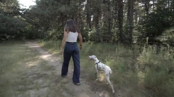 Dalmatyńczyk. Dziewczyna i pies spacerujący w lesie. Wesoły spacer ze zwierzakiem. — Wideo stockowe