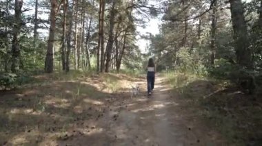 Dalmaçyalı. Kız ve köpek yürüyüşe çıkmış. Evcil hayvanla neşeli bir yürüyüş. İnsanlar ve bir köpek ormanda yürüyor..