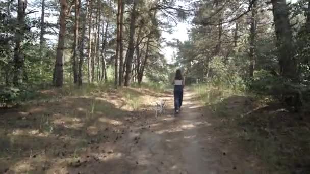 Dálmata. Chica y un perro paseando. Alegre paseo con mascota. Gente y un perro paseando en un bosque. — Vídeos de Stock