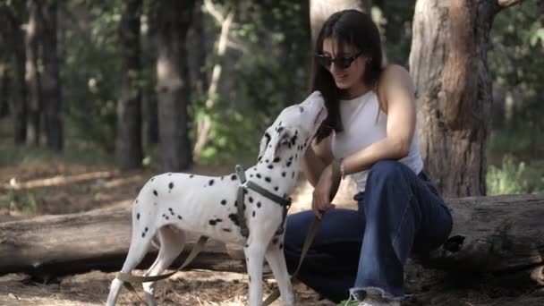 Walk with the pet. Best Friend. A Dog Dalmatian and Girl. . Playing with a dog, — Stock Video