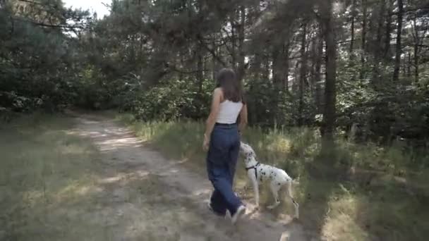 和宠物一起走女孩和狗。达尔马提亚人在森林里散步的人和狗. — 图库视频影像