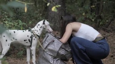 Evcil hayvanlarla yürü. Bir kız ve bir köpek. Buldog. Dalmaçyalı. İnsanlar ve köpekler ormanda yürüyor..