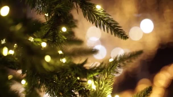 Vánoční ozdoba. hristmas duchové a nálada. Nový rok. Vánoční strom. Teplá domácí nálada. Rozmazané víla světla. — Stock video