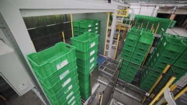 Meyve için plastik kutular. Otomatik santral, taşıma hattı. Modern bitki. Makineler çalışıyor.